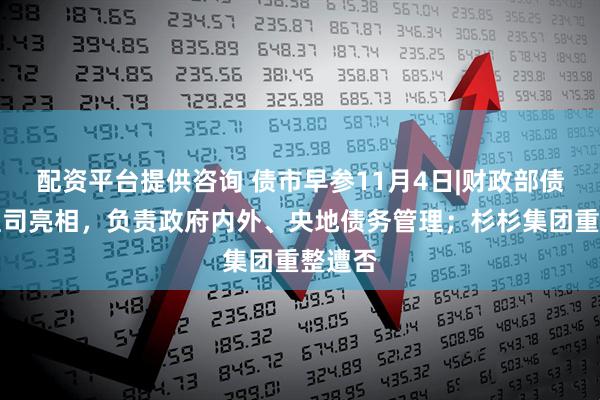 配资平台提供咨询 债市早参11月4日|财政部债务管理司亮相,负责政府内外、央地债务管理;杉杉集团重整遭否