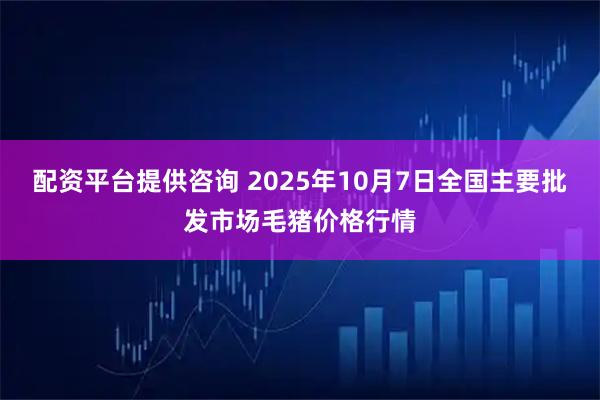 配资平台提供咨询 2025年10月7日全国主要批发市场毛猪价格行情